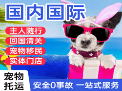 查干湖机场快递国际宠物托运 【国